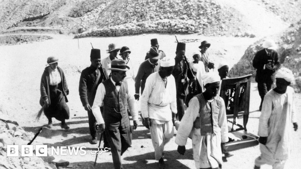 خشب الأرز بين الفينيقيين والفراعنة: رحلة عبر التاريخ