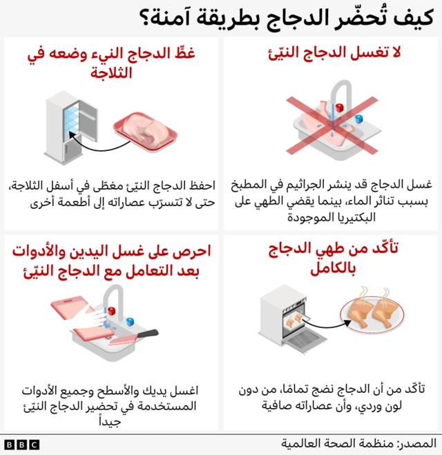 تُظهر الرسومات إرشادات صادرة عن منظمة الصحة العالمية حول الطريقة الآمنة لتحضير الدجاج.
في الرسم الأول، تظهر ثلاجة مع سهم يشير إلى الرف السفلي، حيث يُنصح بحفظ الدجاج لتجنّب تسرّب العصارات إلى أطعمة أخرى.
في الرسم الثاني، يظهر دجاج نيء داخل مغسلة مع ماء جارٍ، تعلوه علامة × كبيرة للتأكيد على عدم غسل الدجاج النيء.
في الرسم الثالث، تُظهر يدٌ وهي تغسل لوح تقطيع وسكيناً داخل المغسلة، في إشارة إلى ضرورة غسل اليدين والأدوات بعد تحضير الدجاج النيء.
أما الرسم الرابع، فيُظهر فرناً مع سهم يشير إلى صينية دجاج ساخنة يتصاعد منها البخار، مع نصيحة بطهي الدجاج جيداً لأنه الطريقة الوحيدة للقضاء على البكتيريا.