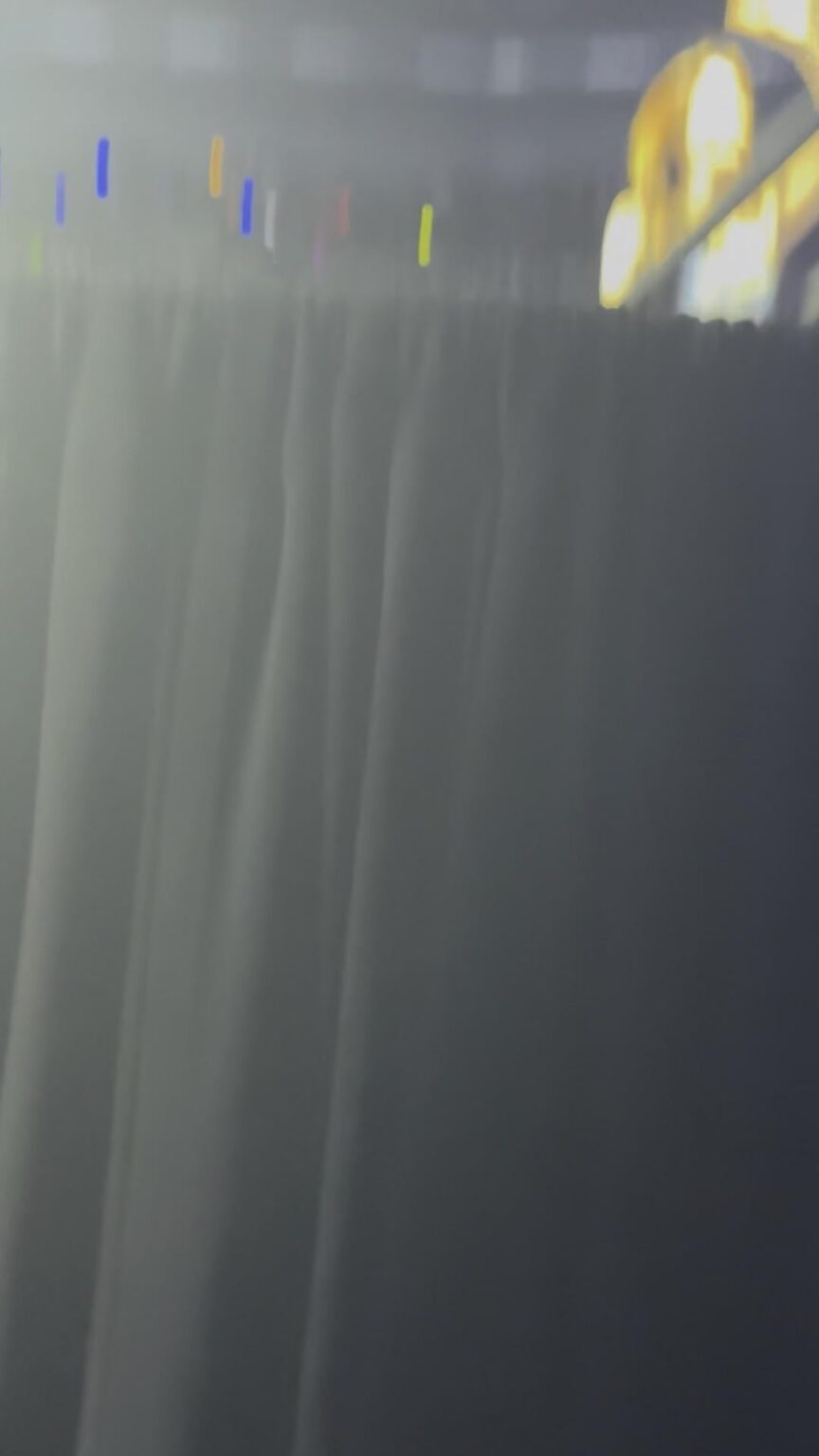 حصلت على قبلة من مومو