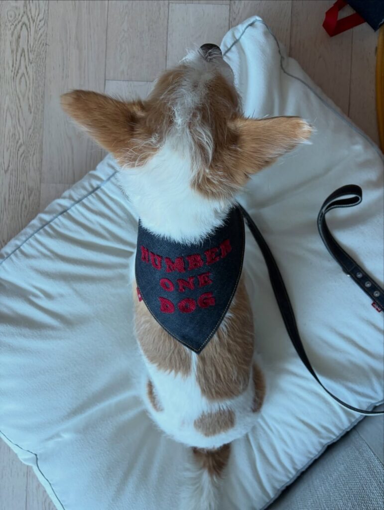 260216 تحديث hank_says_hank على الانستقرام