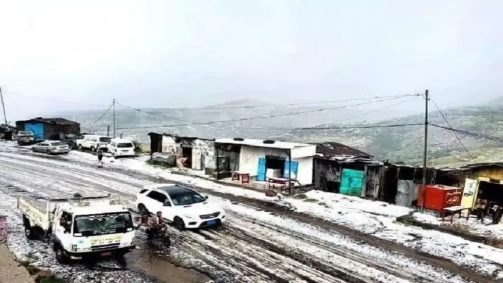 عاجل: الأرصاد يعلن حالة طوارئ قصوى… موجة برد قاتلة تضرب 5 محافظات يمنية وتحذيرات خطيرة للمزارعين!