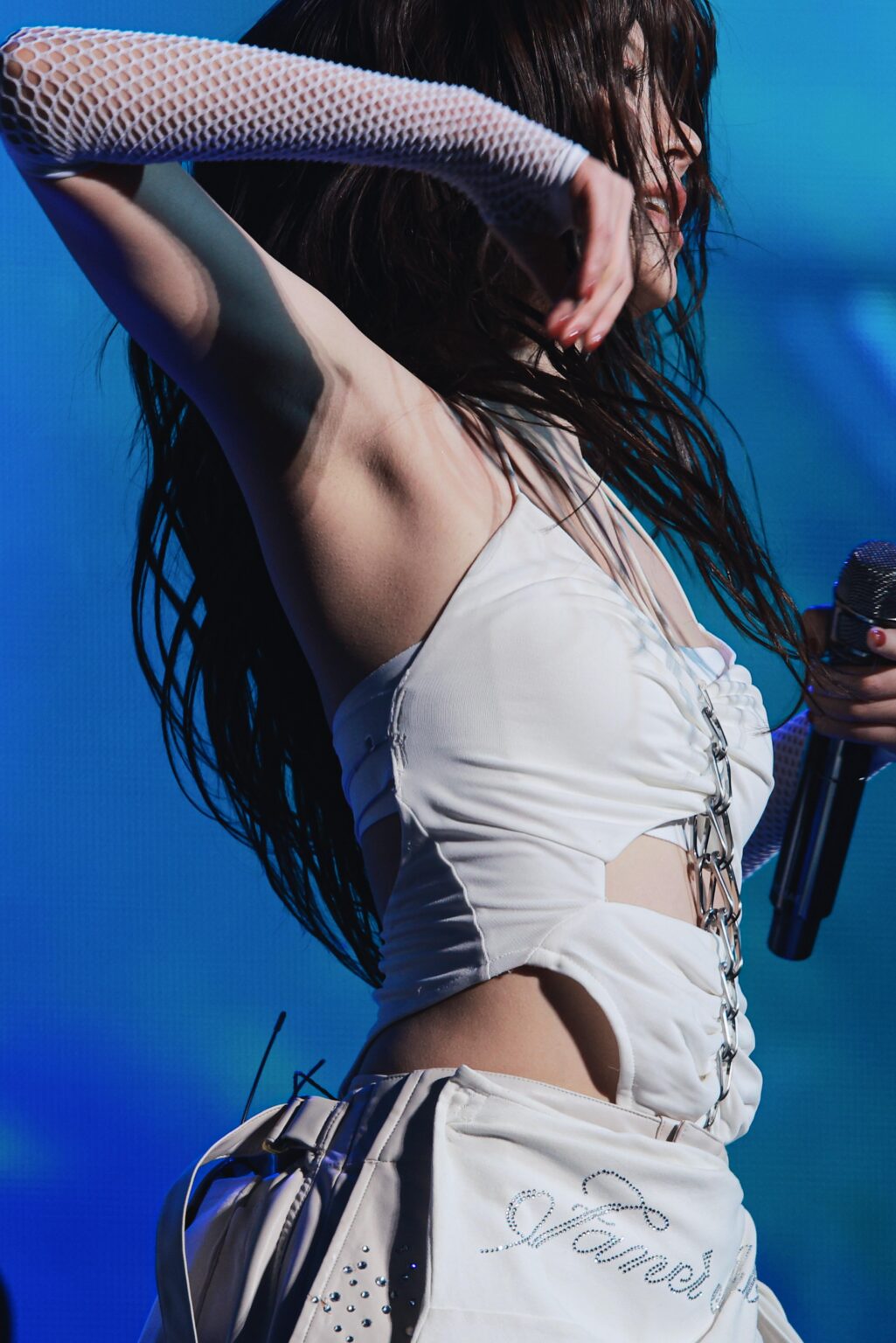 الخصيان الخصيان