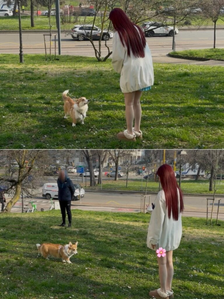 260227 تحديث يوكي على الانستقرام