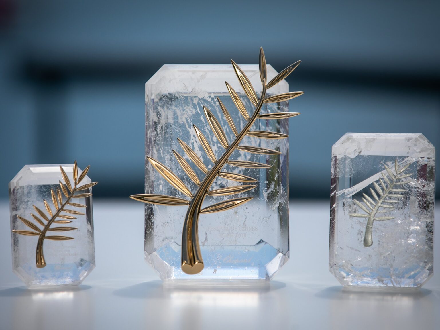 بين "الدب" و"السعفة": كيف أعادت مهرجانات الأفلام صياغة ضمير العالم؟ | فن