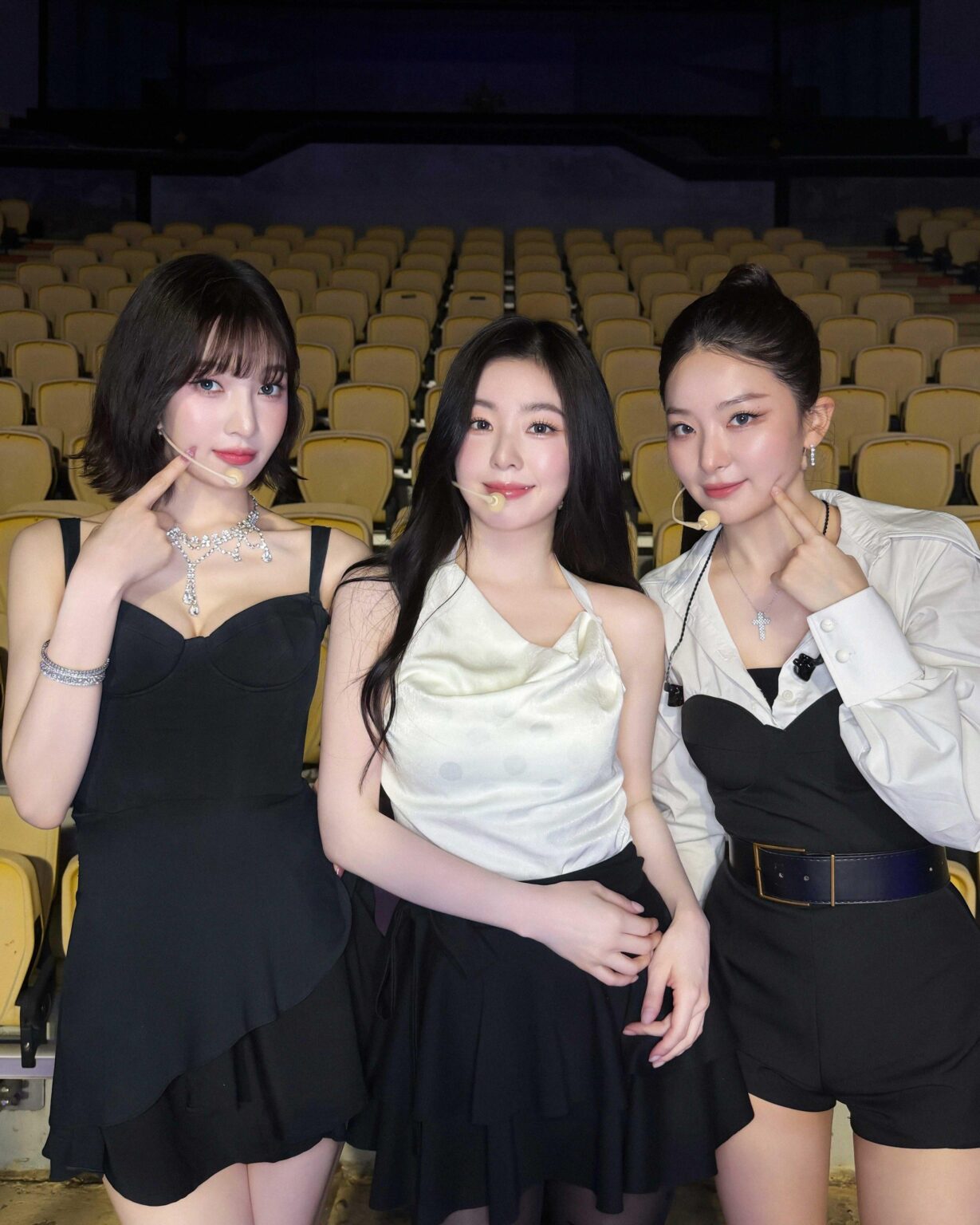 جوي وإيرين وسولجي