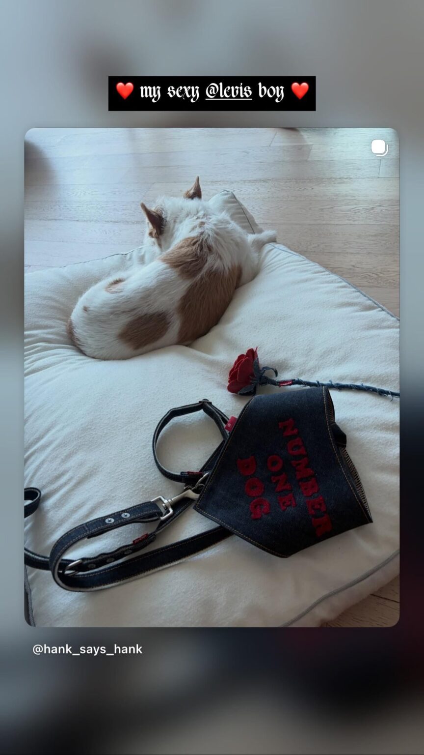 260216 تحديث قصة روزي على الانستغرام