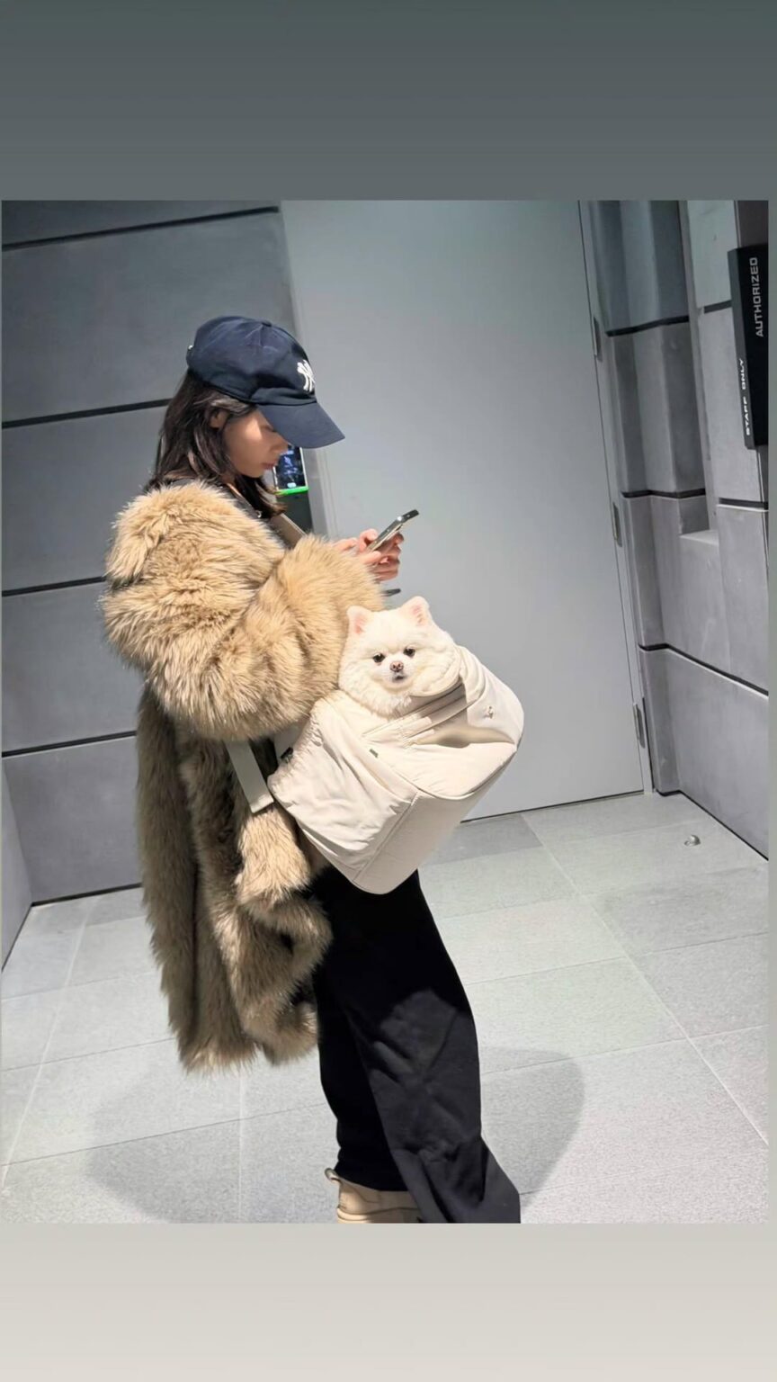 260212 تحديث قصة كيم تشايوون على الانستقرام. شيرو