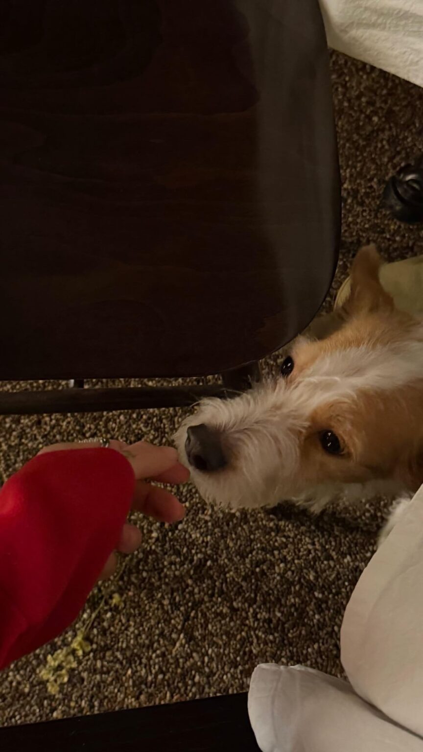 260211 تحديث قصة Peggy Gou على الانستقرام مع روزي