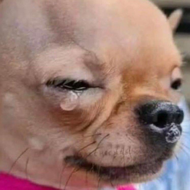 260217 تحديث ملف جيزيل على الانستقرام