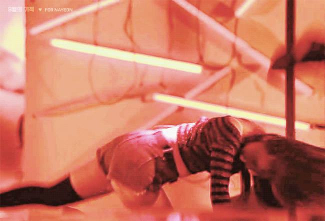 هل يوجد أحد لديه فيديو كامل لهذه الفانكام؟