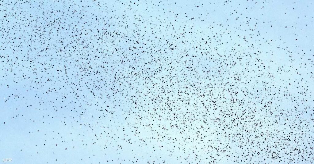 رسالة إسرائيلية لسكان بيروت بالـ”QR Code”.. ماذا جاء فيها؟ رسالة إسرائيلية لسكان بيروت بالـ"QR Code".. ماذا جاء فيها؟