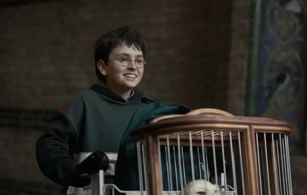 «هاري بوتر» عائد بوجهٍ جديد... أضخم إنتاج تلفزيوني على الإطلاق