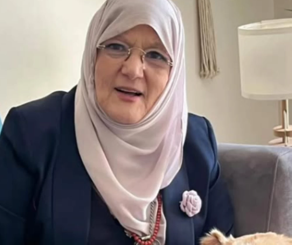 شمس البارودي