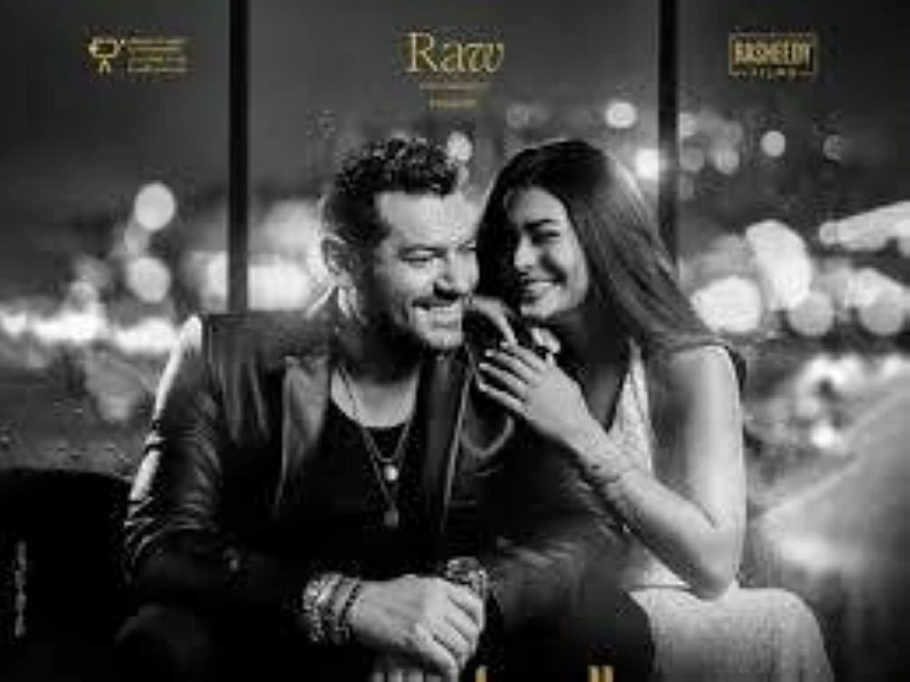 بوستر السلم والثعبان 2 - صورة أرشيفية