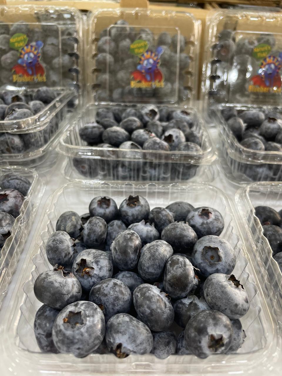 صادرات التوت الأزرق
