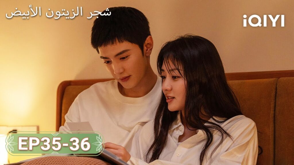 【FULL】شجر الزيتون الأبيض|TheWhiteOliveTree 35-36 | ChenZheYuan, LiangJie | iQIYI Arabic