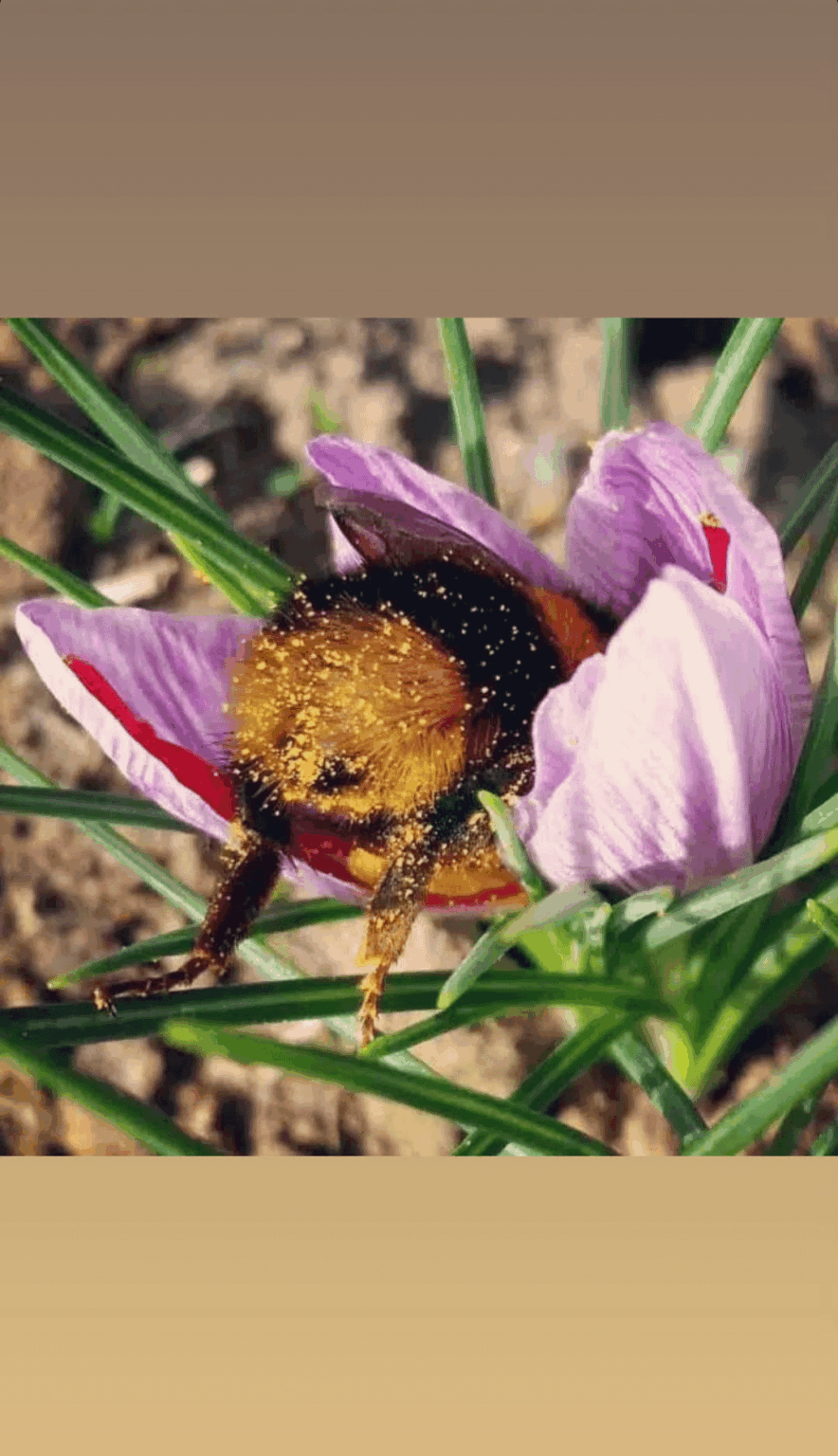 260327 تحديث قصة يونجين على الانستقرام