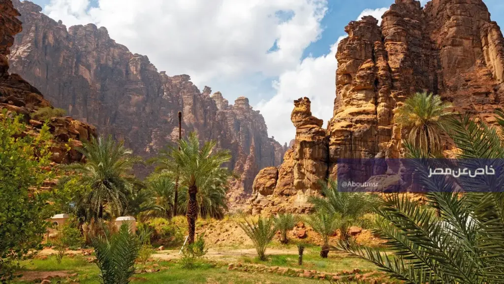 “الذعرة الصفراء” يظهر في السعودية.. أبرز الطيور النادرة وهذه أهم مواصفاته الذعرة الصفراء