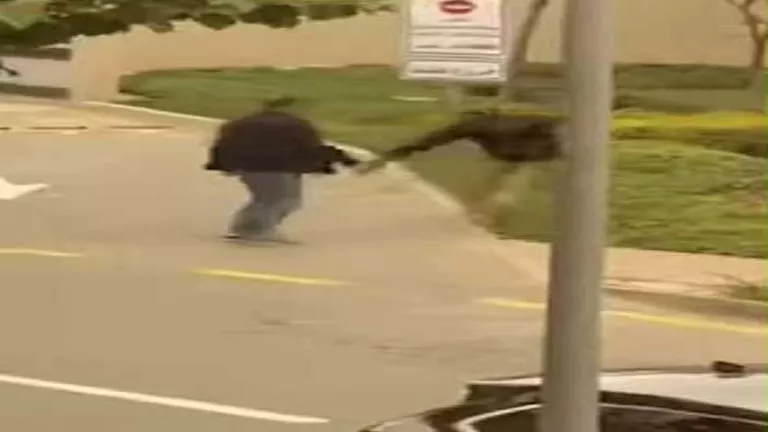 الجنح تستمع لمرافعة دفاع رجل الأعمال في قضية فرد الأمن