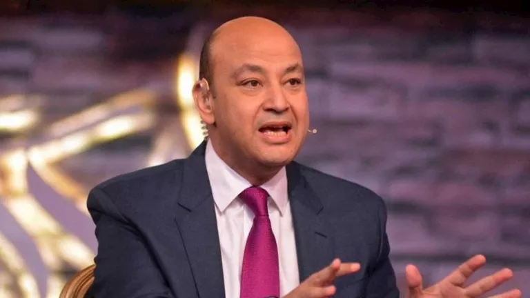 أديب: رئيس الوزراء لديه حلول لمشكلته.. لكن ماذا يفعل المواطن