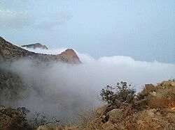 حادثة أليمة تنهي حياة 4 شبان من قرية واحدة – أخبار السعودية حادثة أليمة تنهي حياة 4 شبان من قرية واحدة - أخبار السعودية