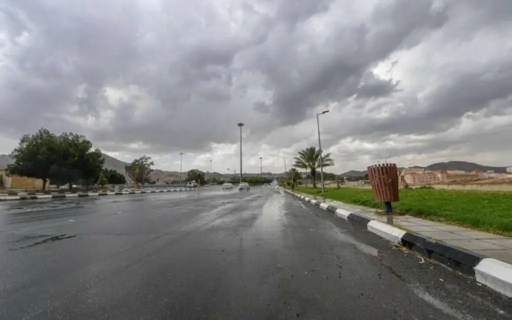 «الأرصاد»: أمطار رعدية مصحوبة بزخات من البرد على أجزاء من 7 مناطق - أخبار السعودية