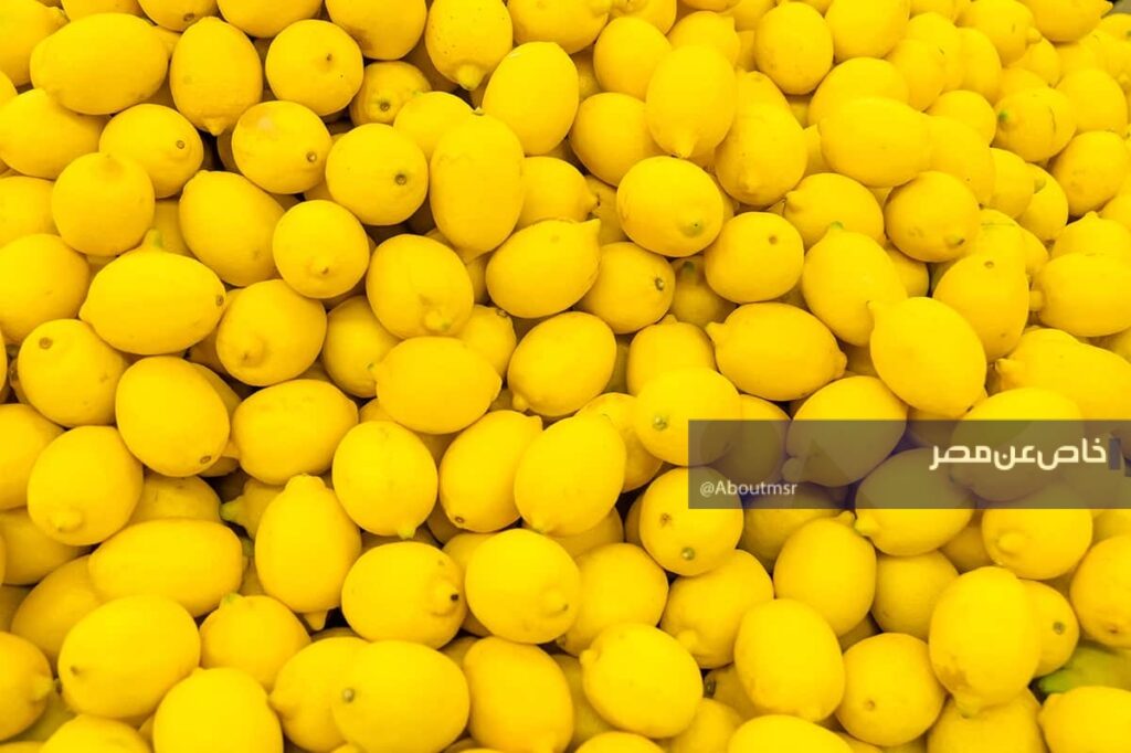 الليمون المصري