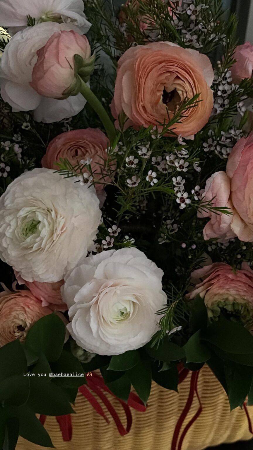 260305 تحديث قصة روزي على الانستغرام