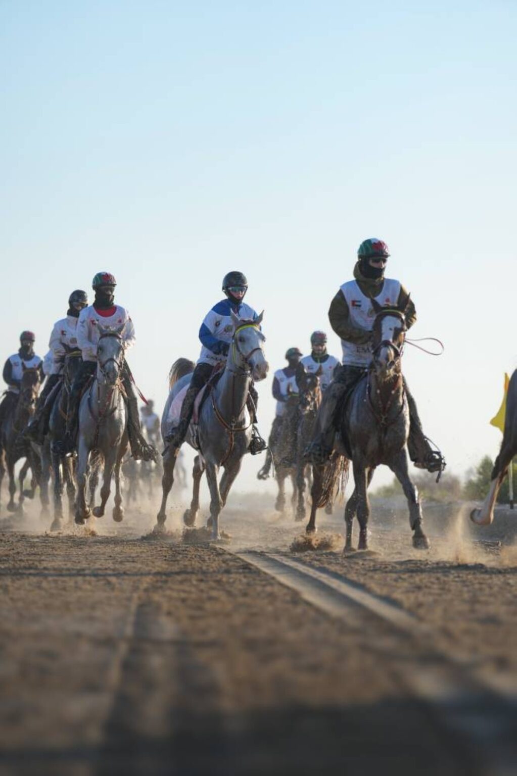 النسخة الـ 18 من «مهرجان ولي عهد دبي للقدرة» تشهد انطلاق «كأس اليمامة للأفراس» Al Bayan