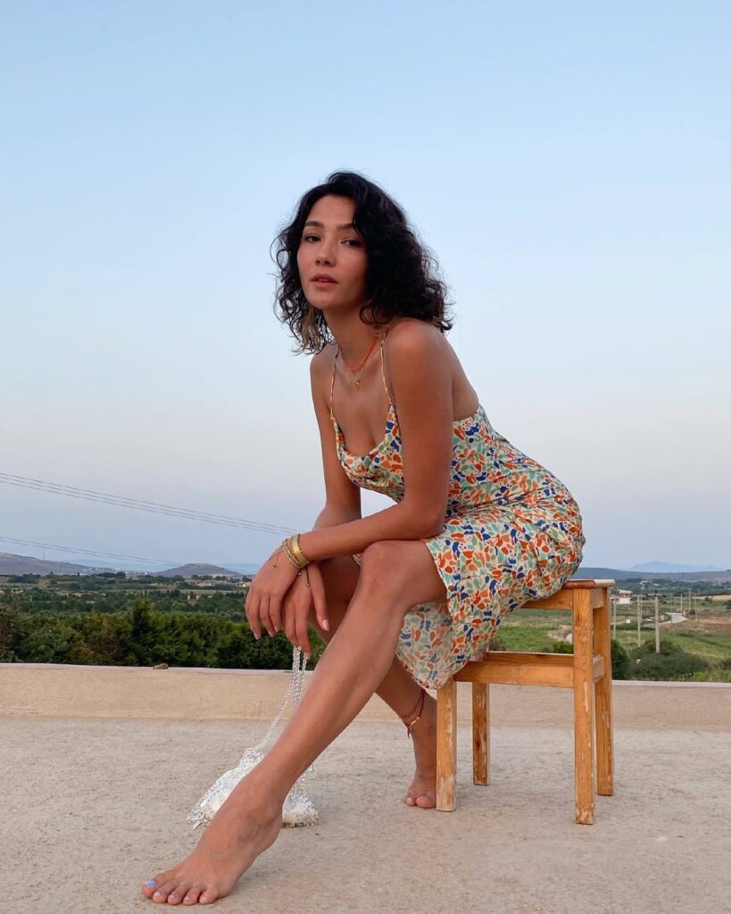 AYBÜKE PUSAT netleştirilmiş