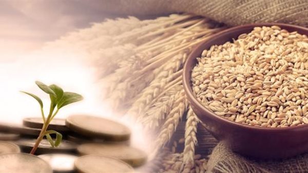 قيمة زكاة الفطر 2026 عن كل فرد.. الإفتاء تحدد الفئات غير الملزمة