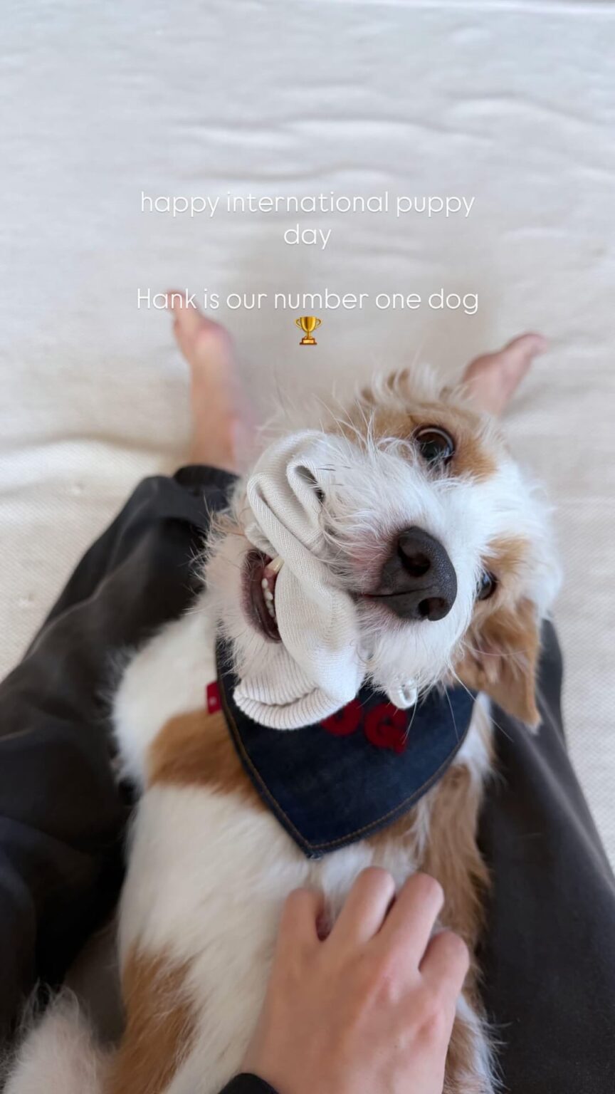 260323 تحديث قصة Alice IG مع هانك