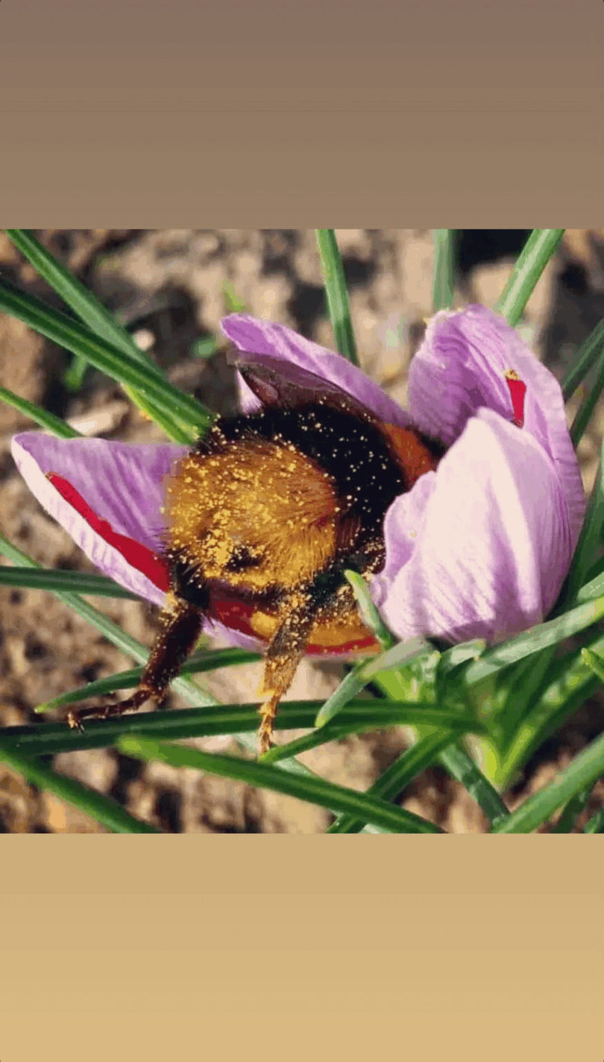 260327 - تحديث قصص الانستقرام هوه يونجين