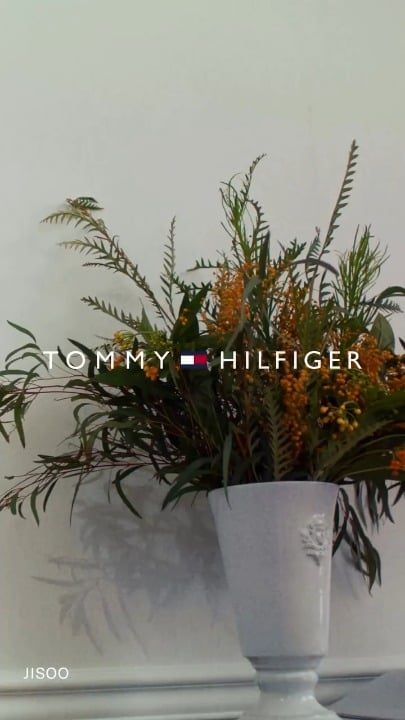 260305 جيسو لتومي هيلفيغر