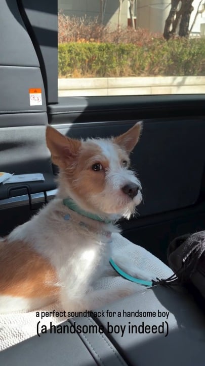 260308 تحديث قصة روزي على الانستغرام