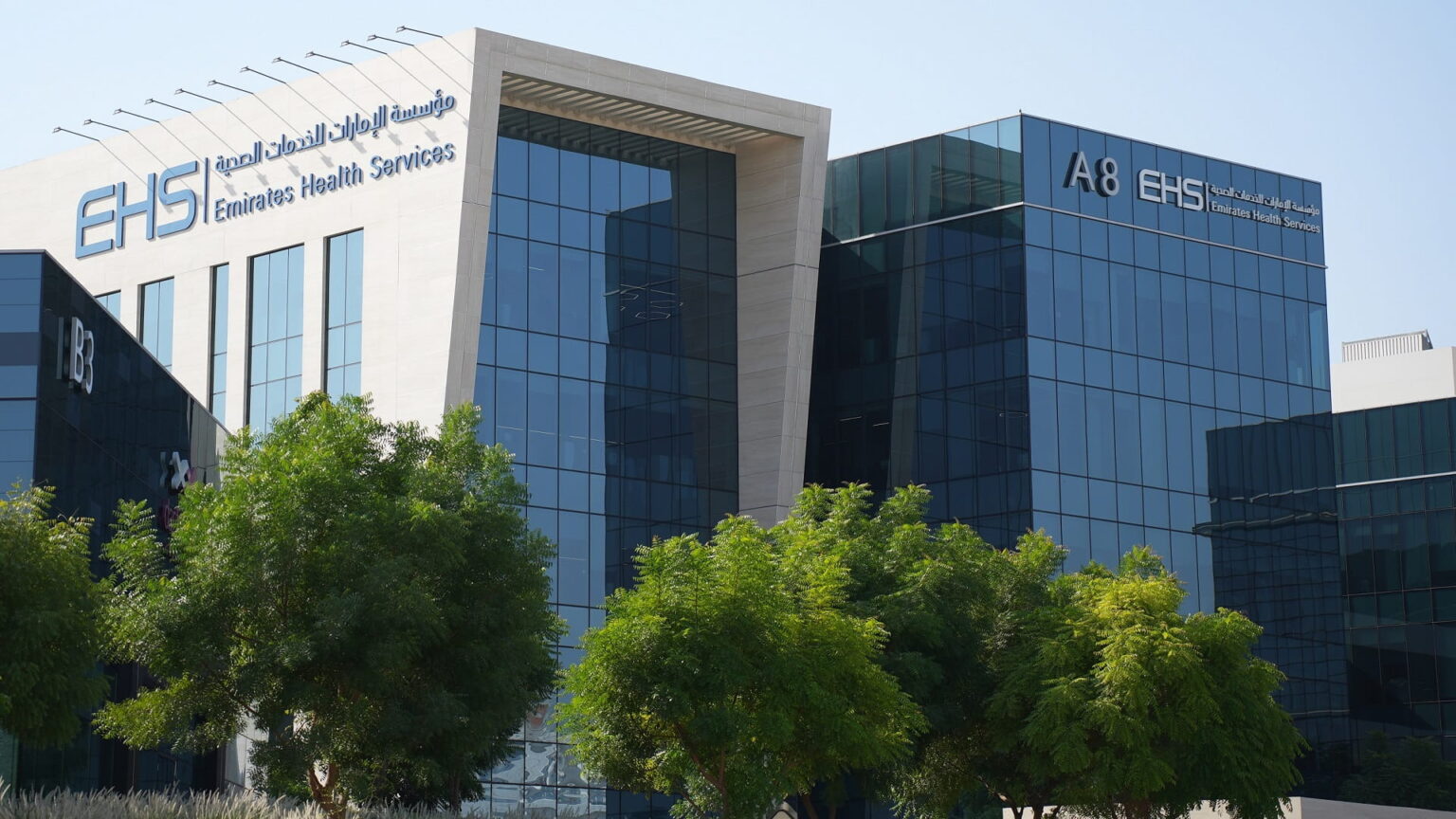 اليوم العالمي للطبيب محطة مهمة لاستشراف مستقبل الطب اليوم العالمي للطبيب محطة مهمة لاستشراف مستقبل الطب