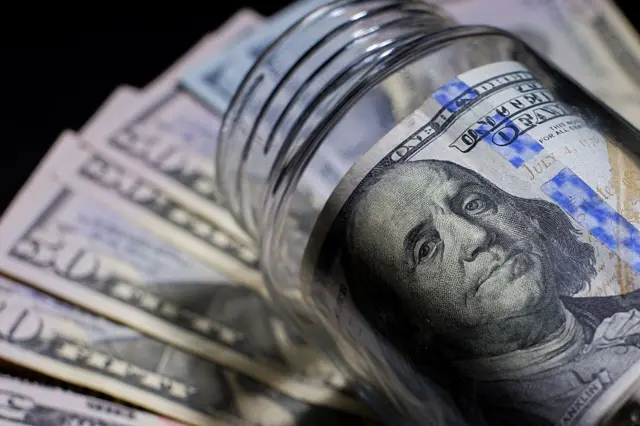 تظهر عملة الدولار الأمريكية  النقدية في خلفية الصورة، ويحتوي وعاء على ورقة نقدية أمريكية من فئة 100 دولار، وطبع عليها صورة رجل له شعر طويل يصل إلى خديه، له عينان واسعتان.