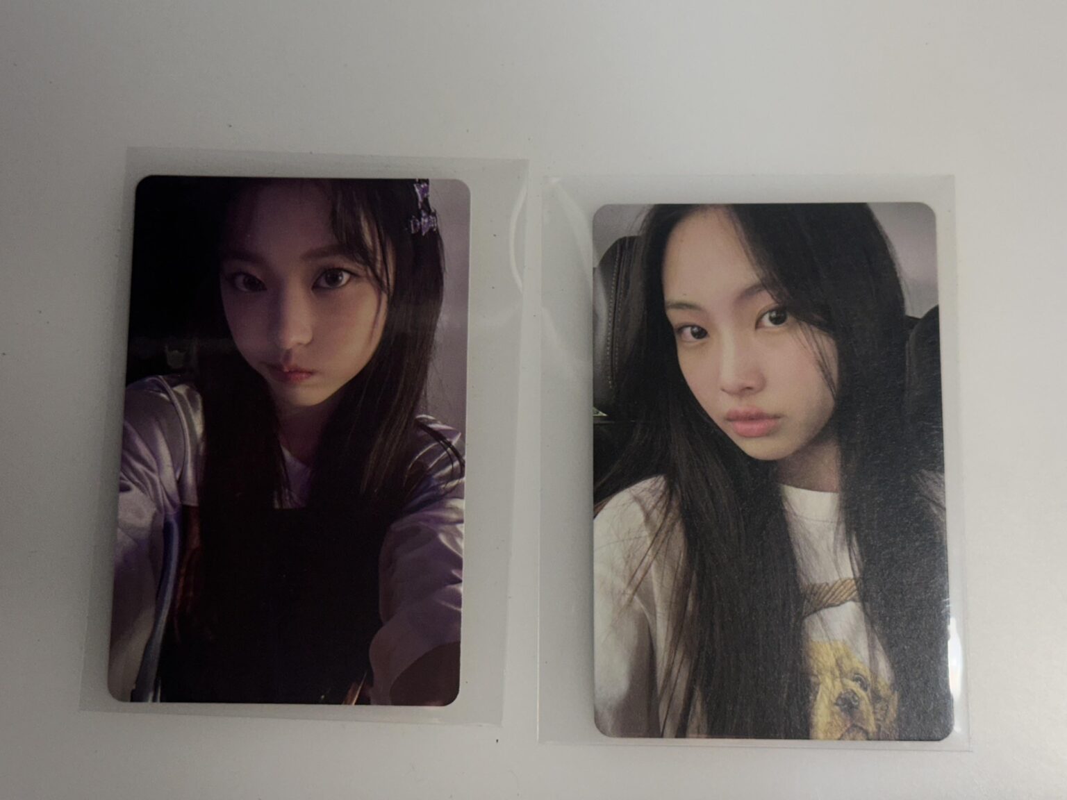 مرحبا الأرانب!! من أين هذه البطاقات؟ 🥹 كنت أحاول العثور عليهم طوال اليوم!