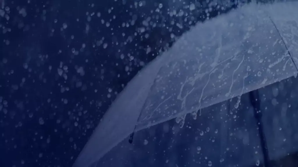 عاجل: جدة تستنفر 15 مركز إسناد… هل تواجه المدينة أمطاراً خطيرة خلال ساعات؟ عاجل: جدة تستنفر 15 مركز إسناد... هل تواجه المدينة أمطاراً خطيرة خلال ساعات؟