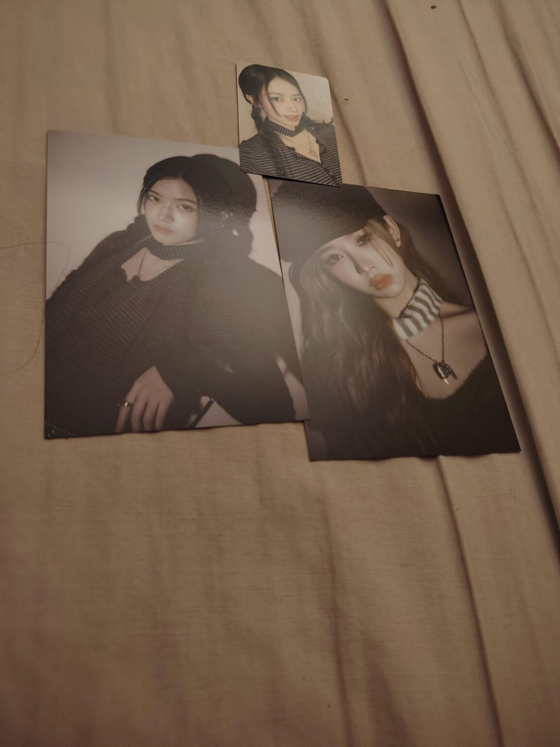 من هم هؤلاء الأعضاء ؟