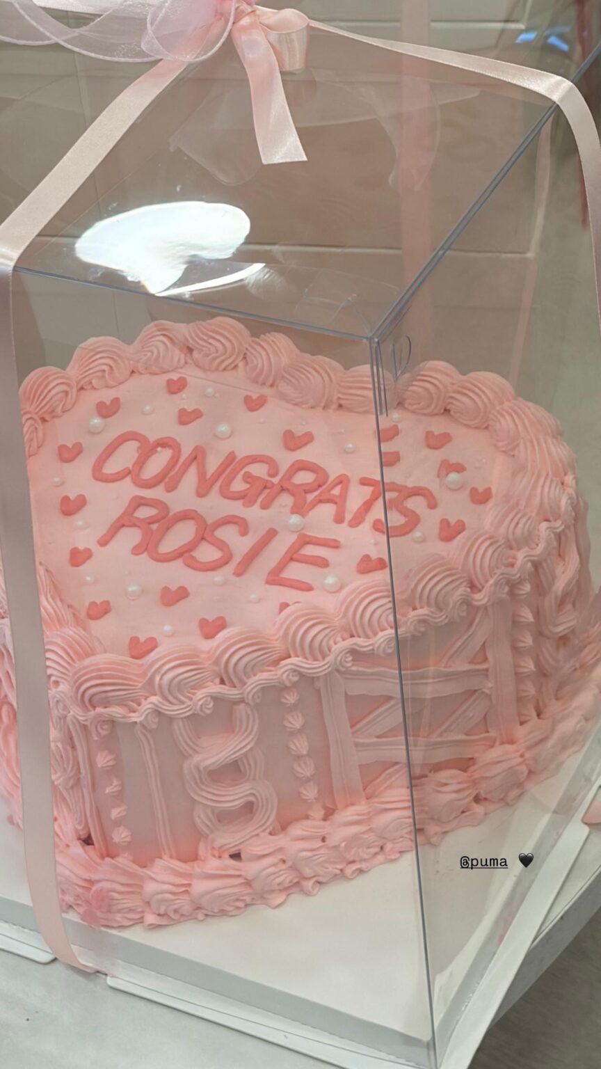 260306 تحديث قصة روزي على الانستغرام