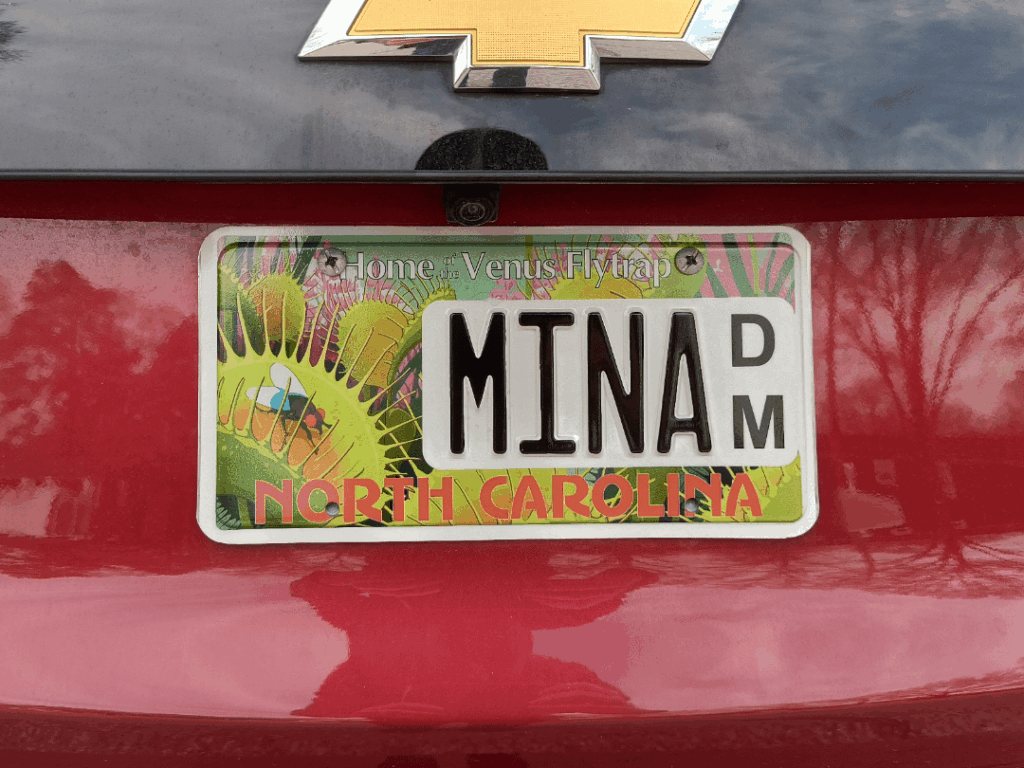 لقد أرفقت للتو لوحة الترخيص الجديدة الخاصة بي! يجب أن أمثل المفضل لدي :) مينا