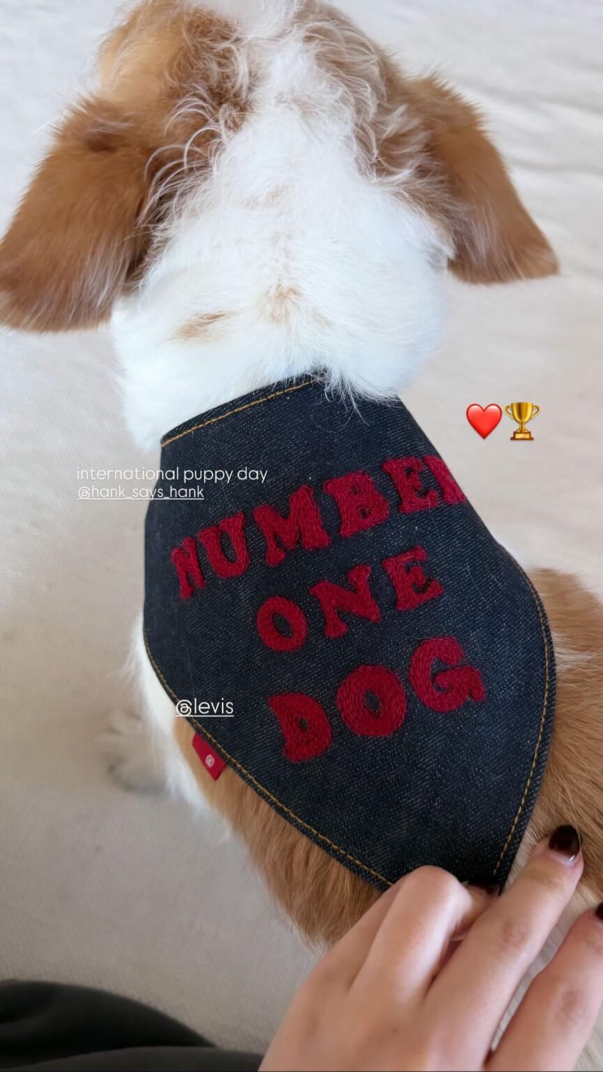 260323 تحديث قصة روزي على الانستغرام