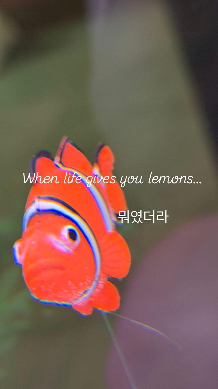 260430 تحديث قصة الانستقرام الشتوية