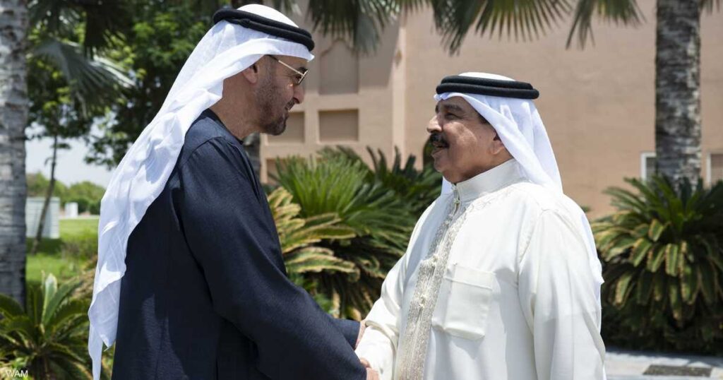 رئيس الإمارات وملك البحرين يبحثان تعزيز التعاون المشترك