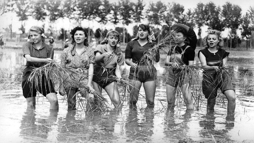 "الرز المر" فيلم إيطالي بلا تصنيف منذ 80 عاما