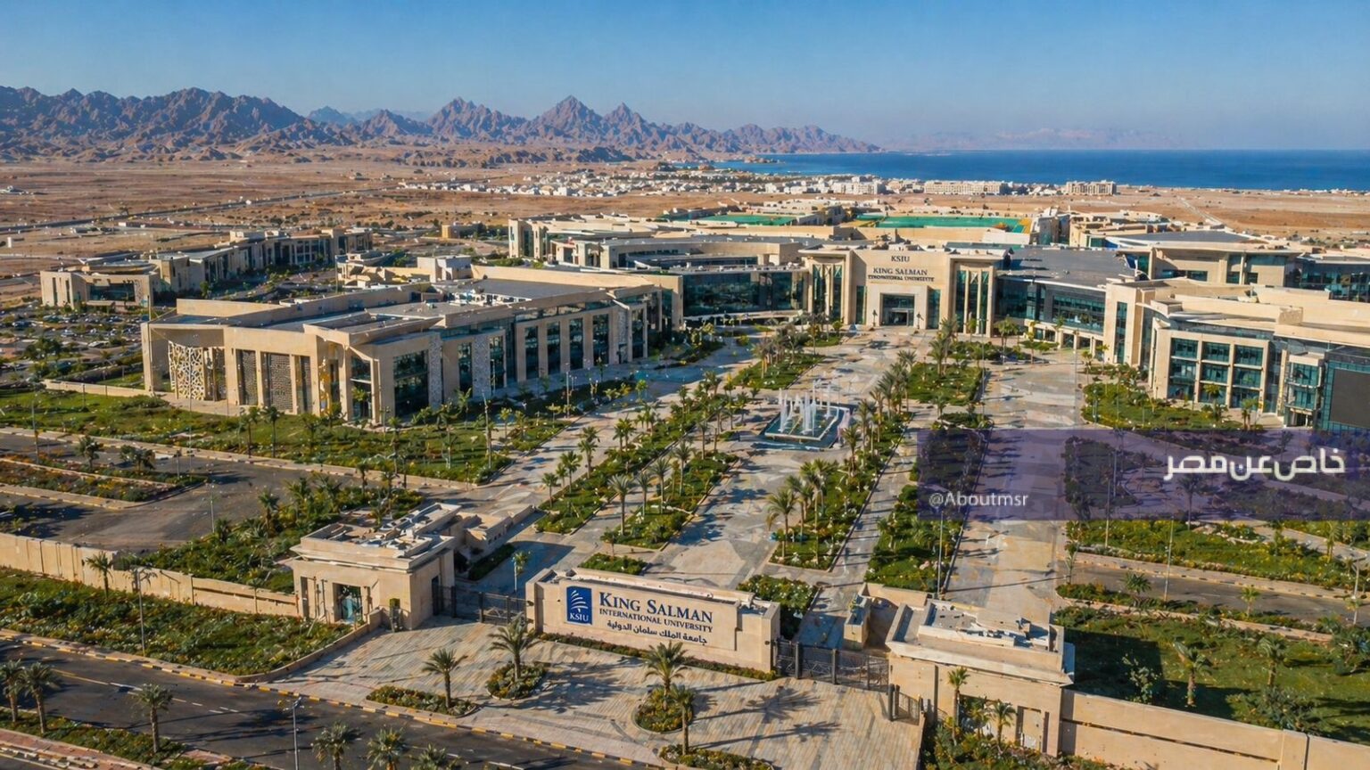 جامعة الملك سلمان الدولية