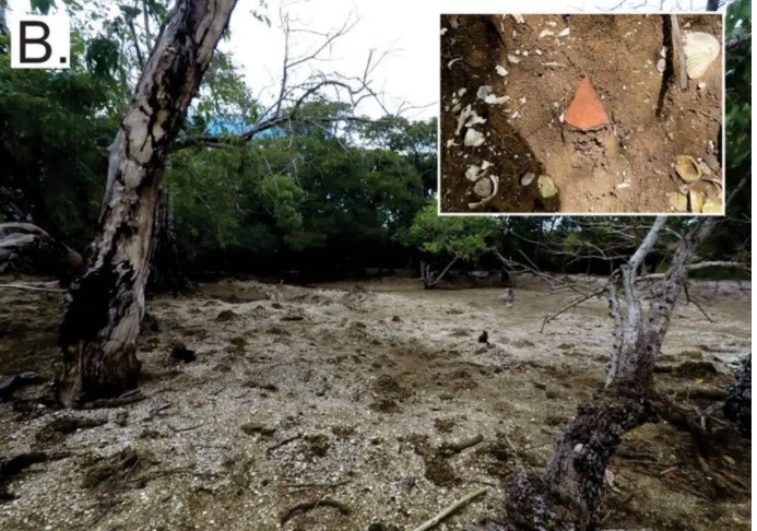 جزيرة تشكلت من المحار