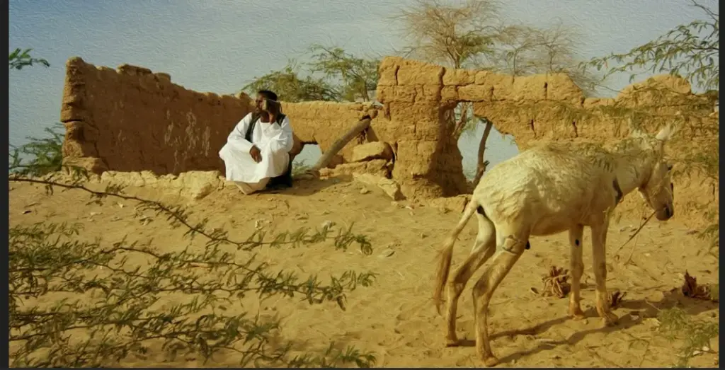 غياب السينما المصرية عن مهرجان «كان» يثير تساؤلات