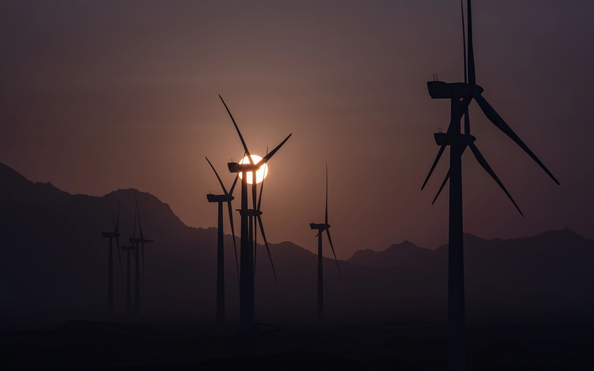 مزرعة رياح غرب سوهاج